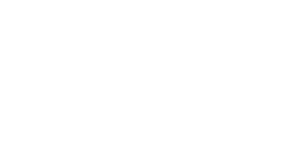 Clever Education Solutions logo white