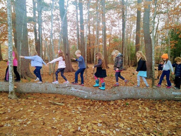 pre-schoolers and elementary age children are walking together on a tree log