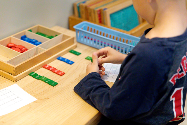 Montessori administration software