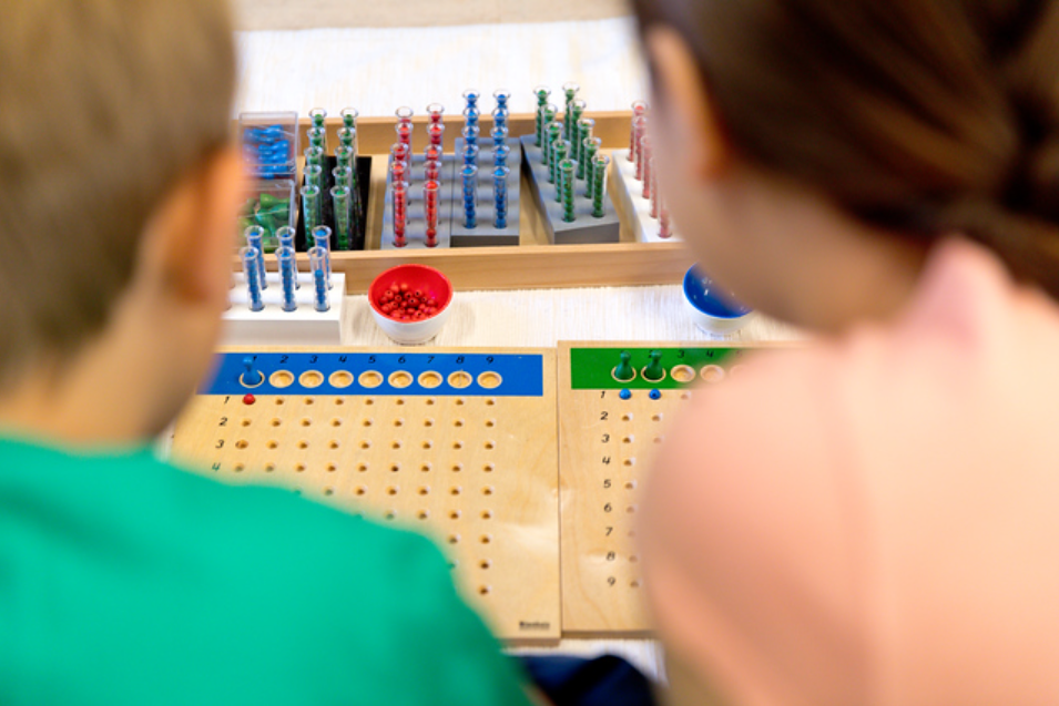 School Management Software