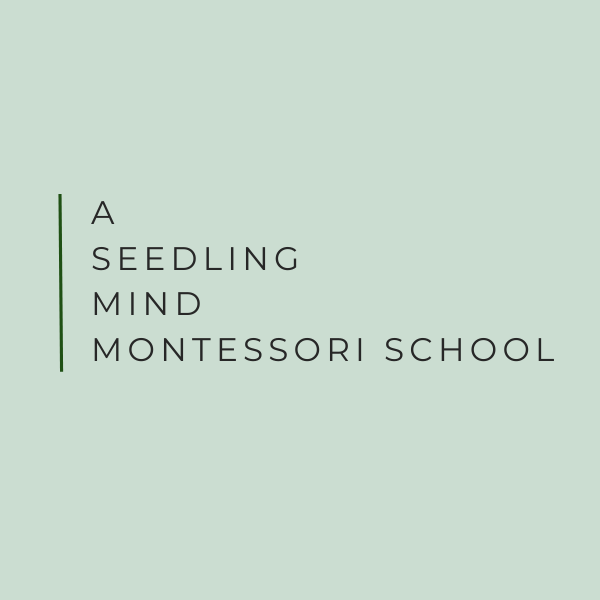 A Seedling Mind Montessori School (2025)